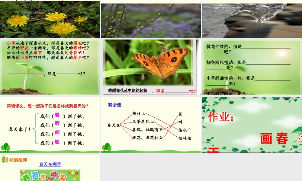 《2 找春天 》 第10套（省一等奖）优质课.ppt