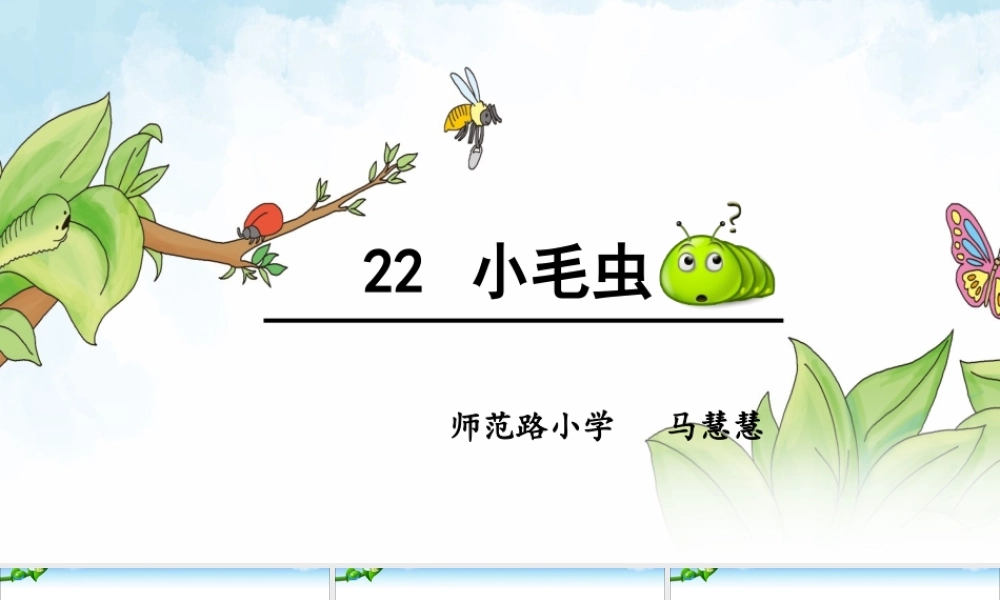 《22 小毛虫 》 第4套（省一等奖）优质课.ppt