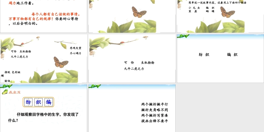 《22 小毛虫 》 第4套（省一等奖）优质课.ppt