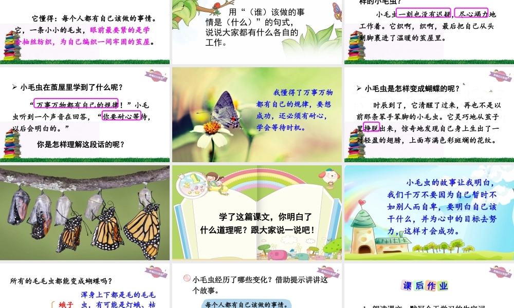 《22 小毛虫 》 第9套（省一等奖）优质课.ppt
