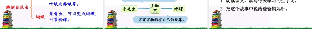 《22 小毛虫 》 第9套（省一等奖）优质课.ppt