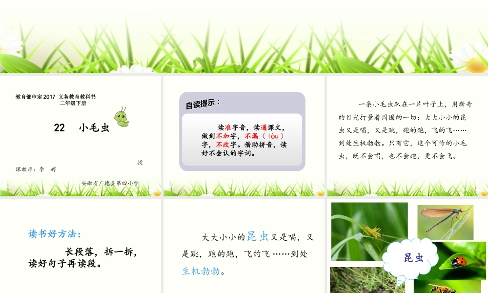 《22 小毛虫4》【李老师】【省级】优质课.ppt