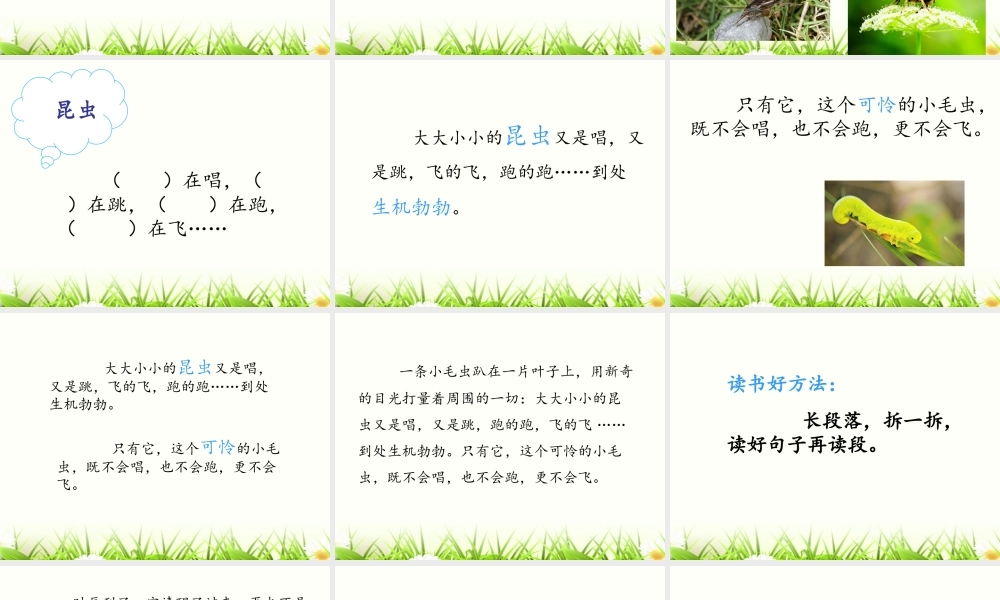 《22 小毛虫4》【李老师】【省级】优质课.ppt