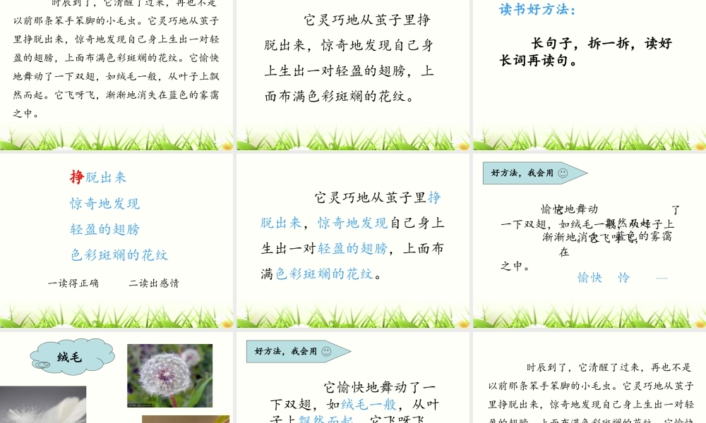 《22 小毛虫4》【李老师】【省级】优质课.ppt