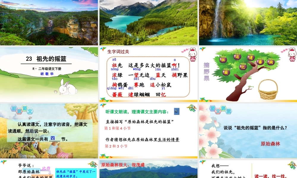 《23 祖先的摇篮 》 第4套（省一等奖）优质课.ppt