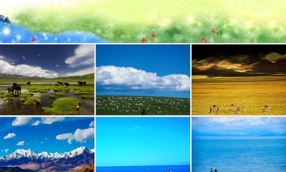 《4 中国美食 》 第3套（国家一等奖）优质课.ppt