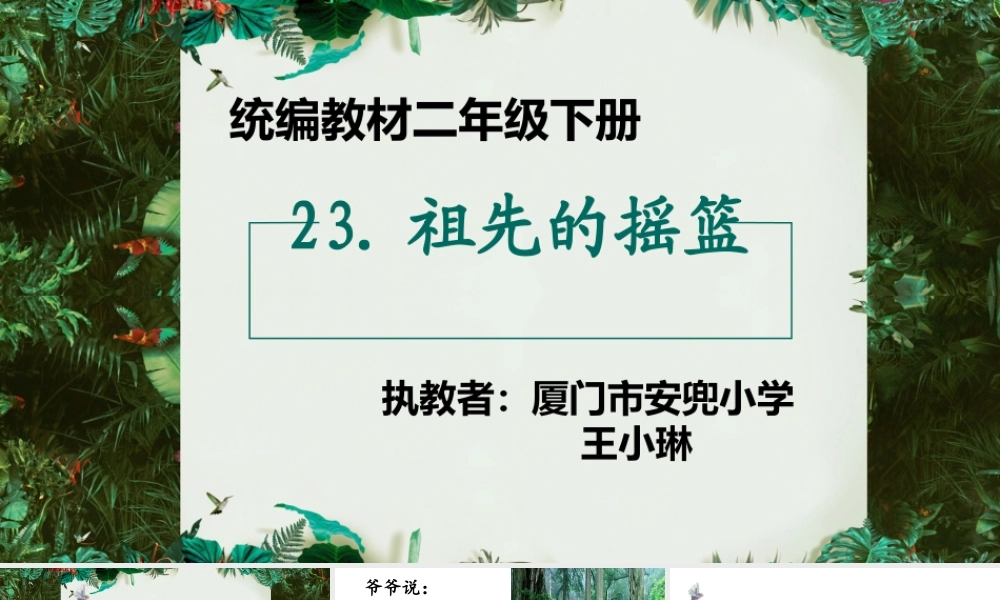 《23 祖先的摇篮 》 第10套（省一等奖）优质课.pptx
