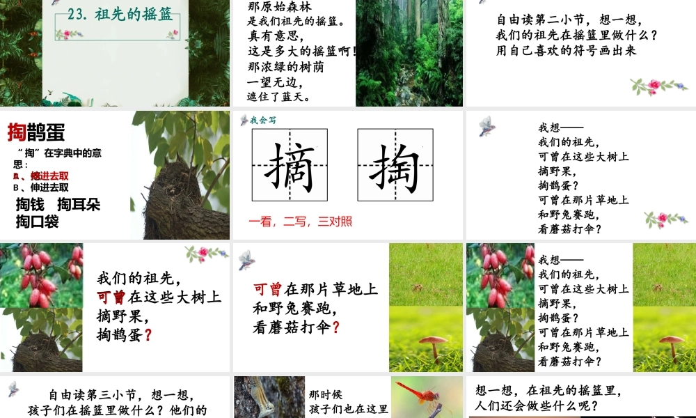 《23 祖先的摇篮 》 第10套（省一等奖）优质课.pptx