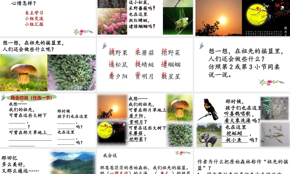 《23 祖先的摇篮 》 第10套（省一等奖）优质课.pptx