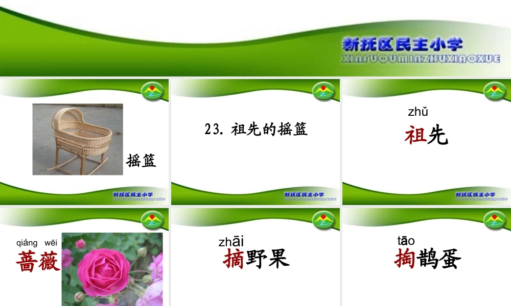 《23 祖先的摇篮5》【王老师】【省级】优质课.ppt