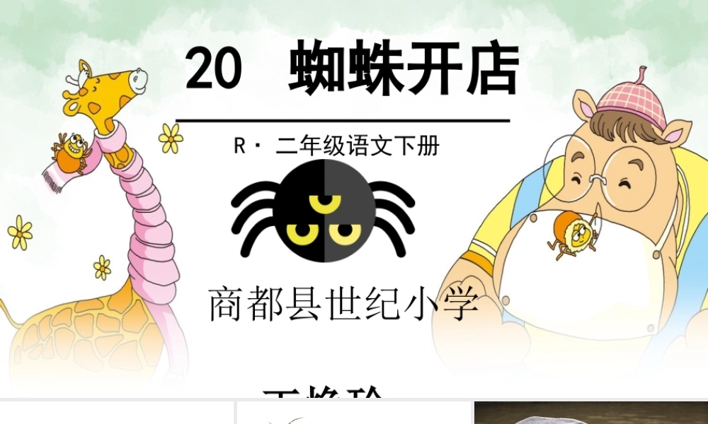 《20 蜘蛛开店 》 第2套（国家一等奖）优质课.ppt
