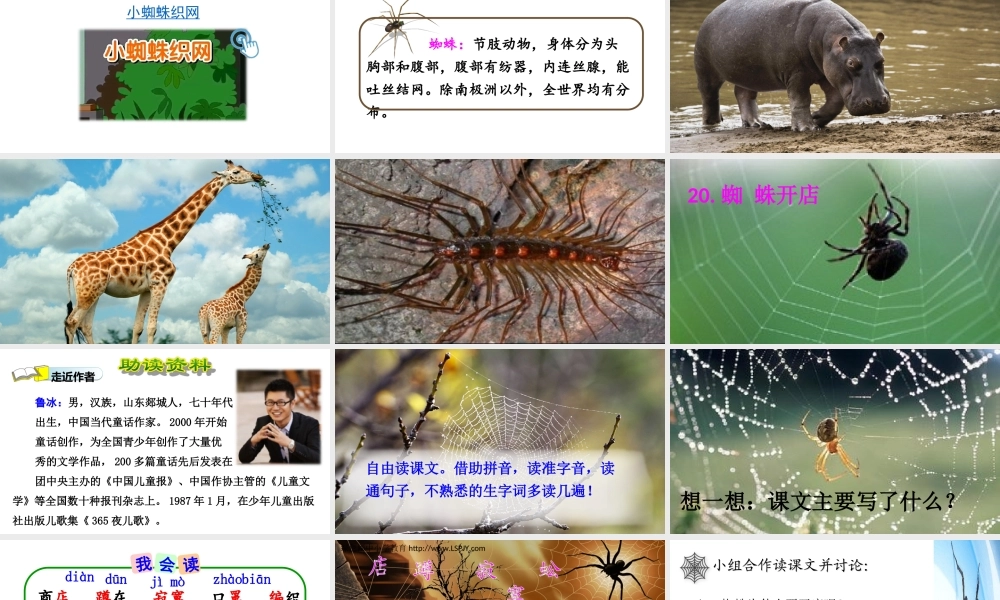 《20 蜘蛛开店 》 第2套（国家一等奖）优质课.ppt