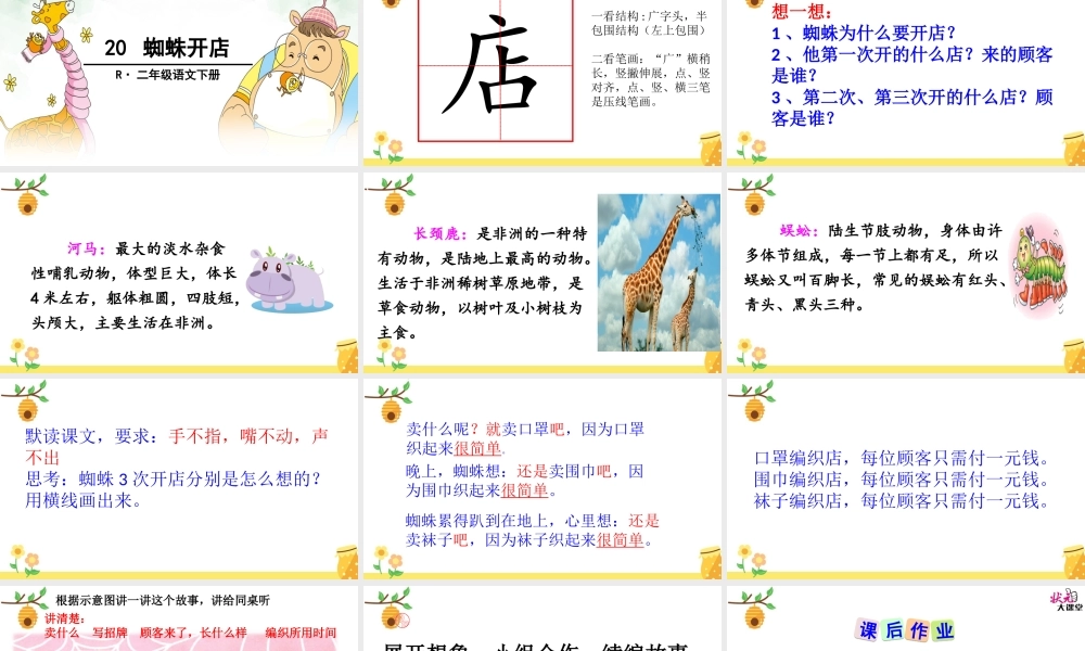 《20 蜘蛛开店 》 第7套（省一等奖）优质课.ppt