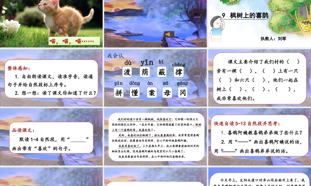《9 枫树上的喜鹊 》 第1套（国家一等奖）优质课.pptx