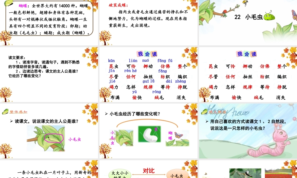 《22 小毛虫 》 第1套（国家一等奖）优质课.ppt