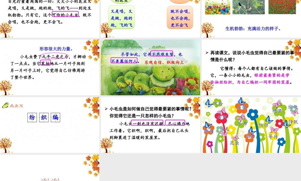 《22 小毛虫 》 第1套（国家一等奖）优质课.ppt