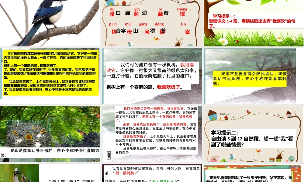 《9 枫树上的喜鹊 》 第7套（省一等奖）优质课.pptx