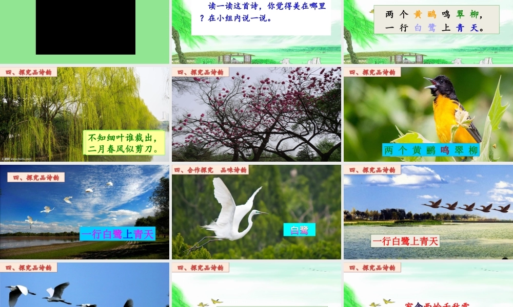 《绝句 》 第8套（省一等奖）优质课.ppt