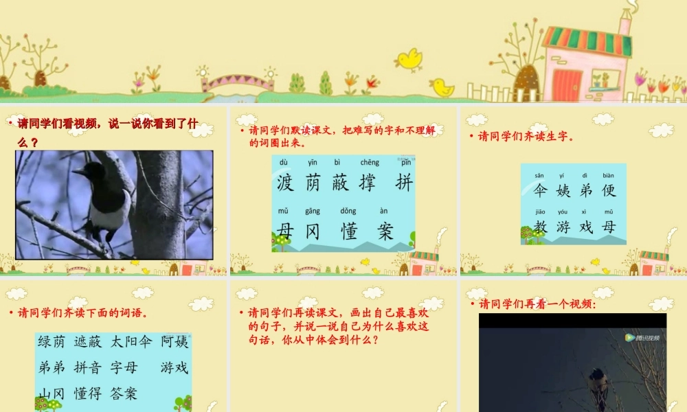 《9 枫树上的喜鹊2》优质课.ppt