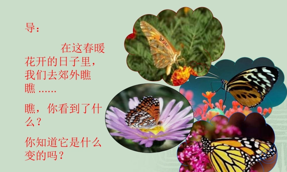 《22 小毛虫1》优质课.ppt