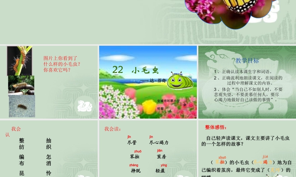 《22 小毛虫1》优质课.ppt