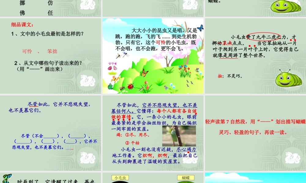 《22 小毛虫1》优质课.ppt