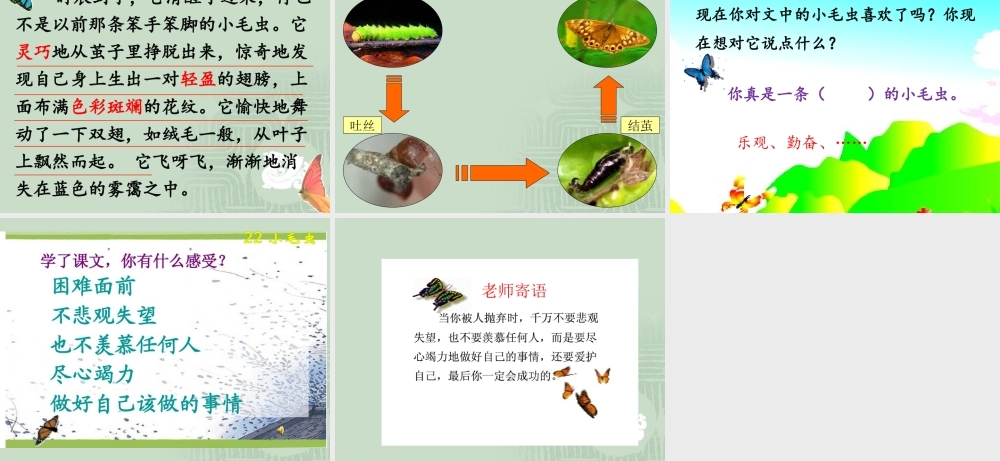 《22 小毛虫1》优质课.ppt