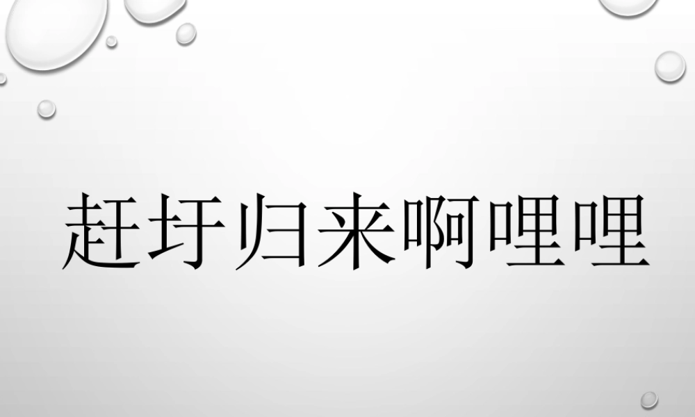 《赶圩归来啊哩哩》课件.ppt