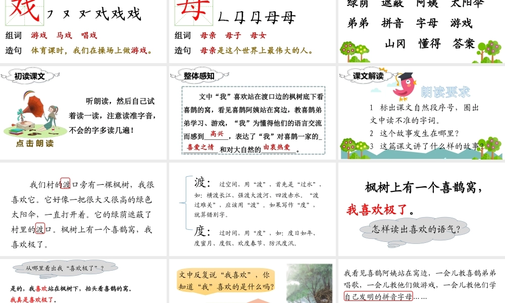 （课堂教学课件）9 枫树上的喜鹊.ppt