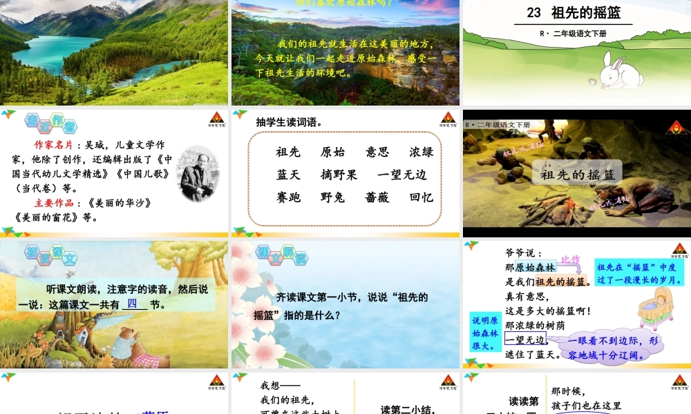 《23 祖先的摇篮2》优质课.ppt