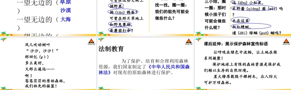 《23 祖先的摇篮2》优质课.ppt