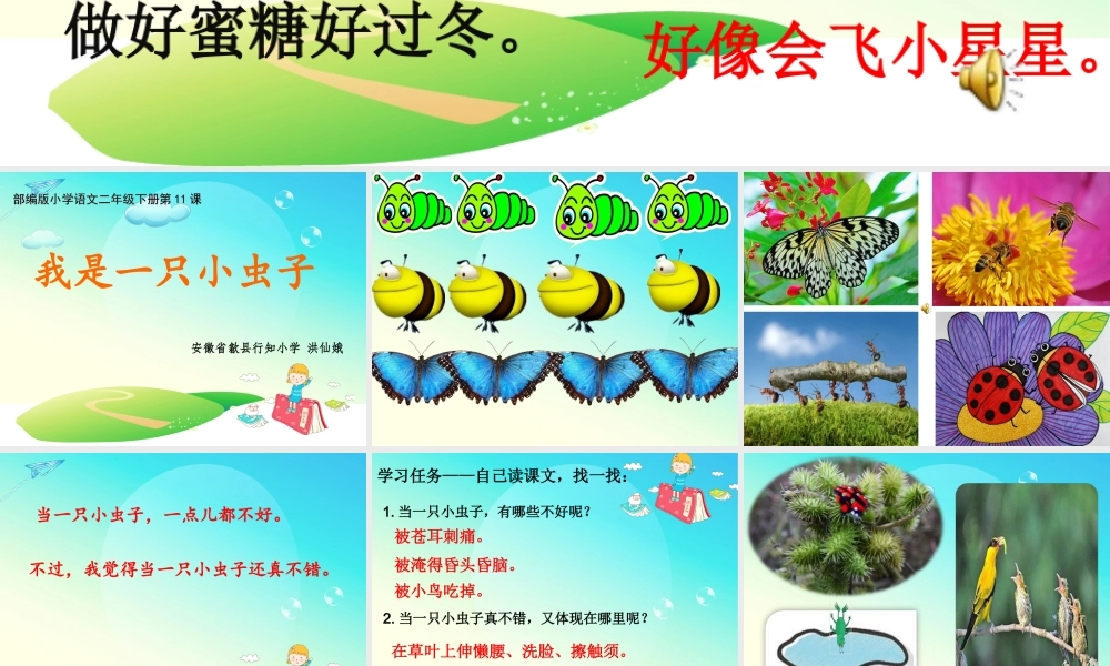 《11 我是一只小虫子 》 第1套（国家一等奖）优质课.ppt