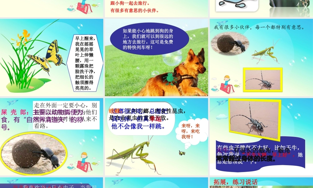 《11 我是一只小虫子 》 第1套（国家一等奖）优质课.ppt