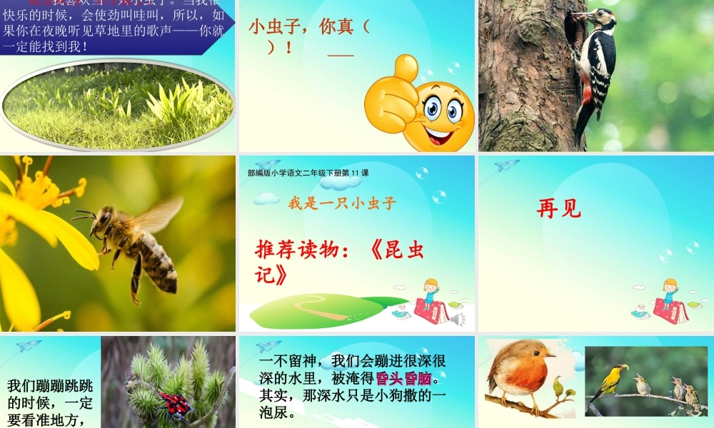 《11 我是一只小虫子 》 第1套（国家一等奖）优质课.ppt