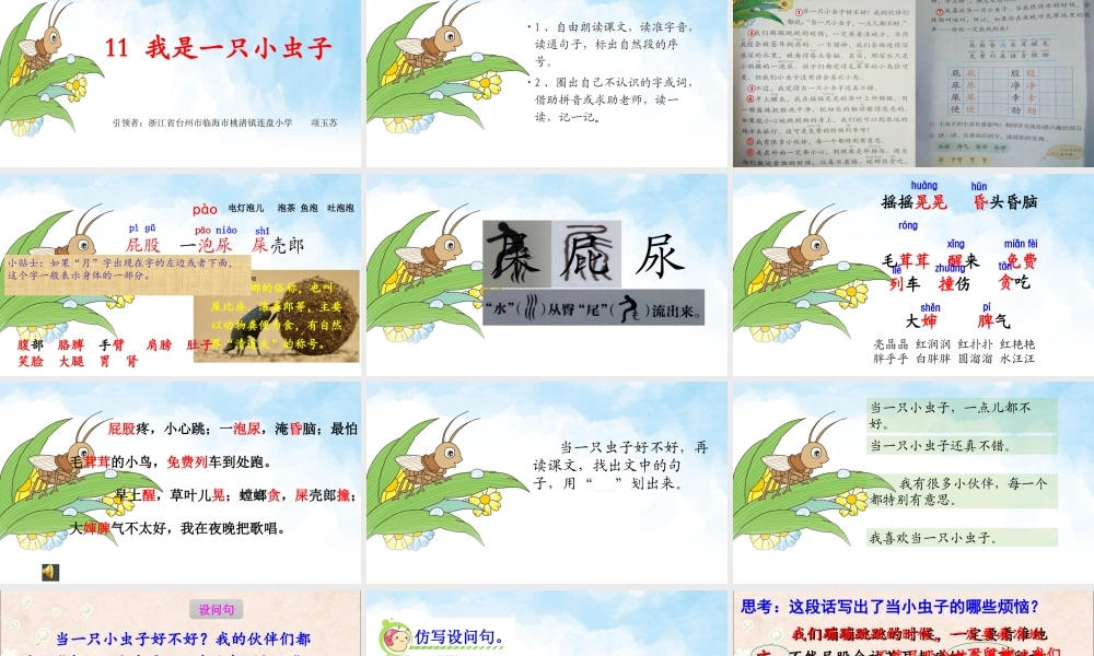 《11 我是一只小虫子 》 第6套（省一等奖）优质课.pptx