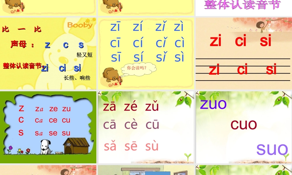 （课堂教学课件2）z c s.ppt