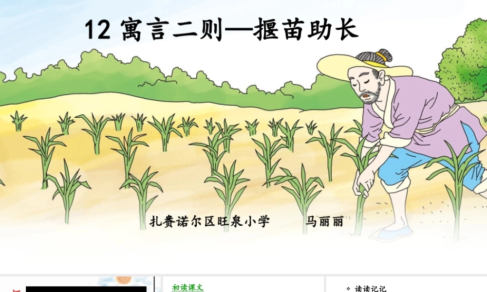 《12揠苗助长 》 第5套（省一等奖）优质课.pptx