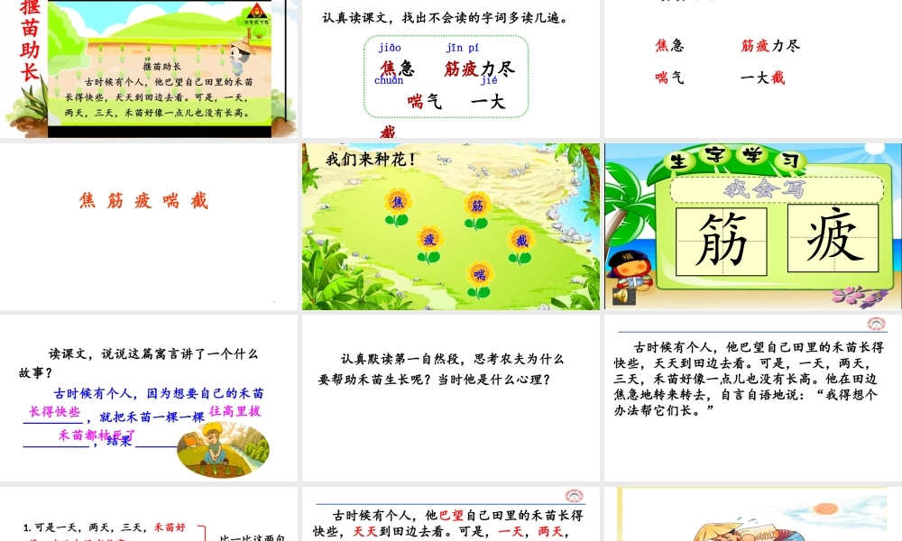 《12揠苗助长 》 第5套（省一等奖）优质课.pptx