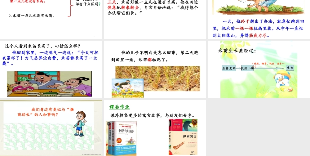 《12揠苗助长 》 第5套（省一等奖）优质课.pptx