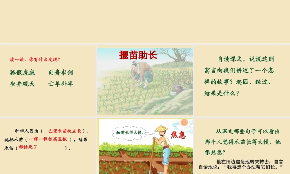 《12揠苗助长 》 第10套（省一等奖）优质课.ppt