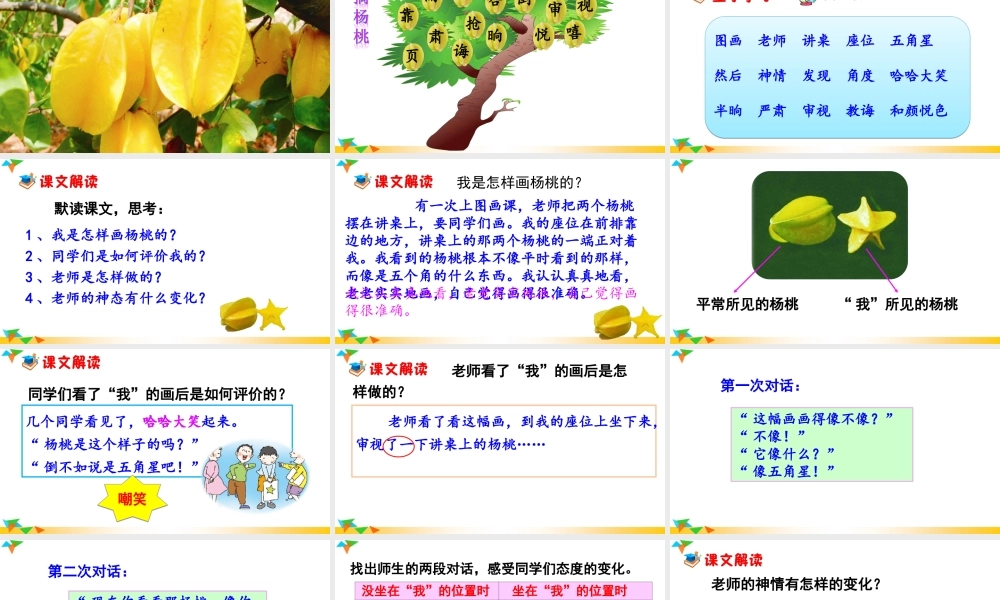 《13 画杨桃 》 第5套（省一等奖）优质课.ppt