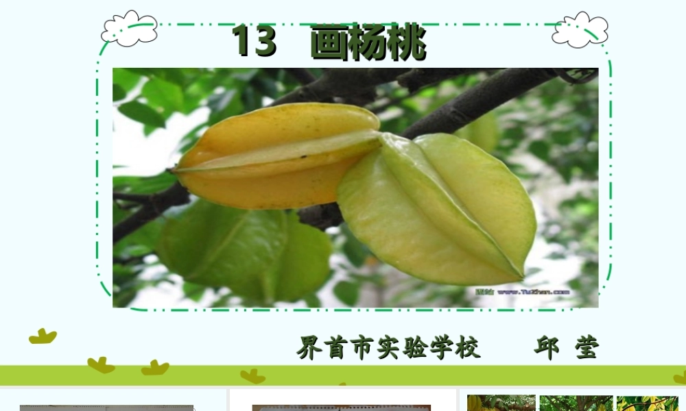 《13 画杨桃 》 第10套（省一等奖）优质课.ppt