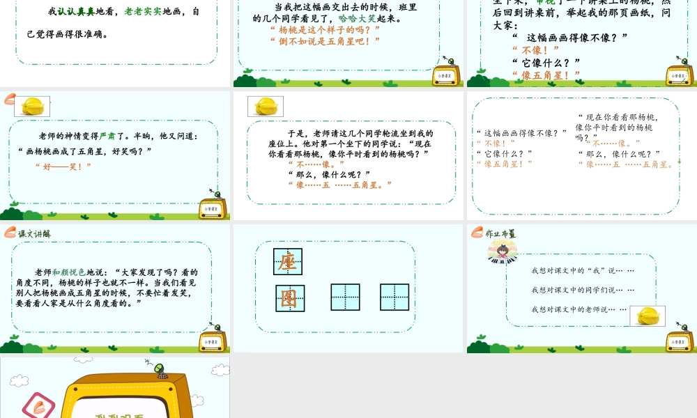 《13 画杨桃 》 第10套（省一等奖）优质课.ppt