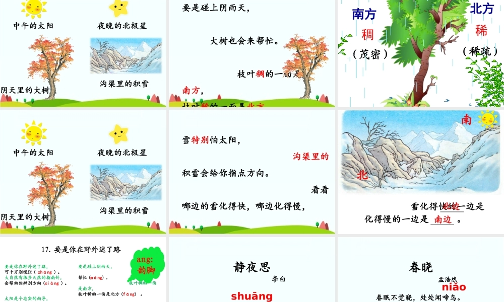 《17 要是你在野外迷了路 》 第3套（国家一等奖）优质课.ppt