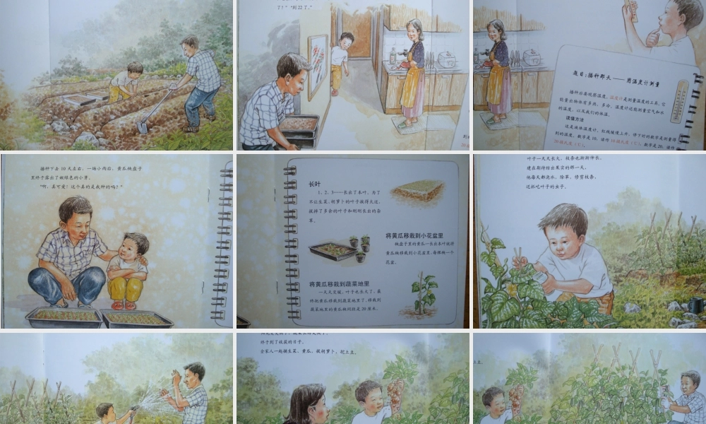 [测量工具]最棒的蔬菜 -- 印象工作站 淘宝店.ppt