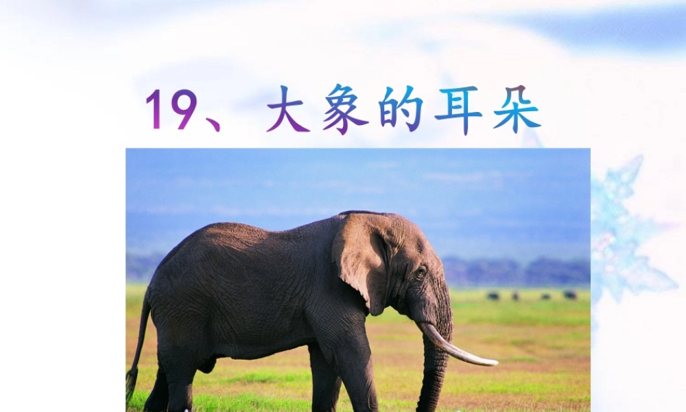 《19 大象的耳朵 》 第1套（国家一等奖）优质课.ppt