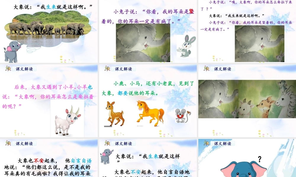 《19 大象的耳朵 》 第1套（国家一等奖）优质课.ppt