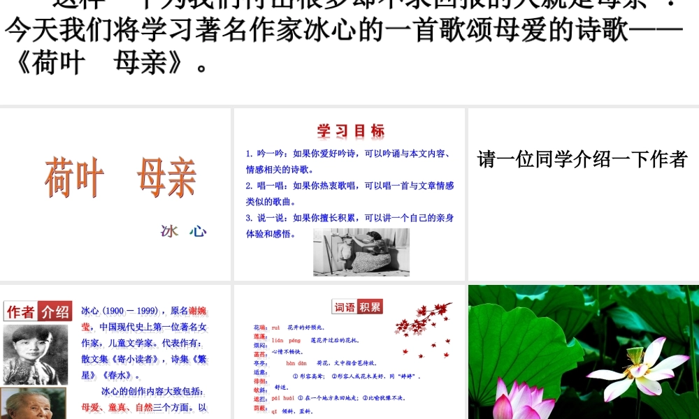 《荷叶 母亲》3.ppt