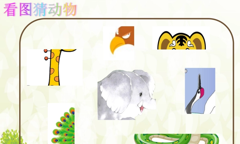 《19 大象的耳朵1》优质课.ppt