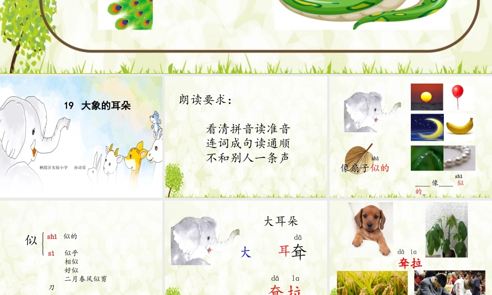 《19 大象的耳朵1》优质课.ppt